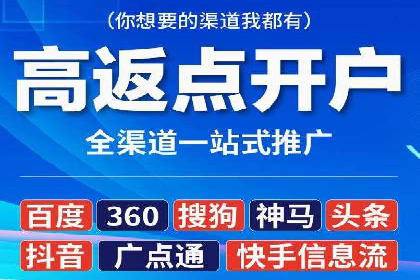 SEM专员案例：数据分析与优化